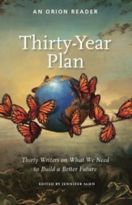 Thirty Year Plan - Cover