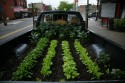 TruckFarm1