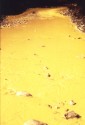 W1KPollutedNashua