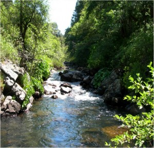 Deer Creek 3