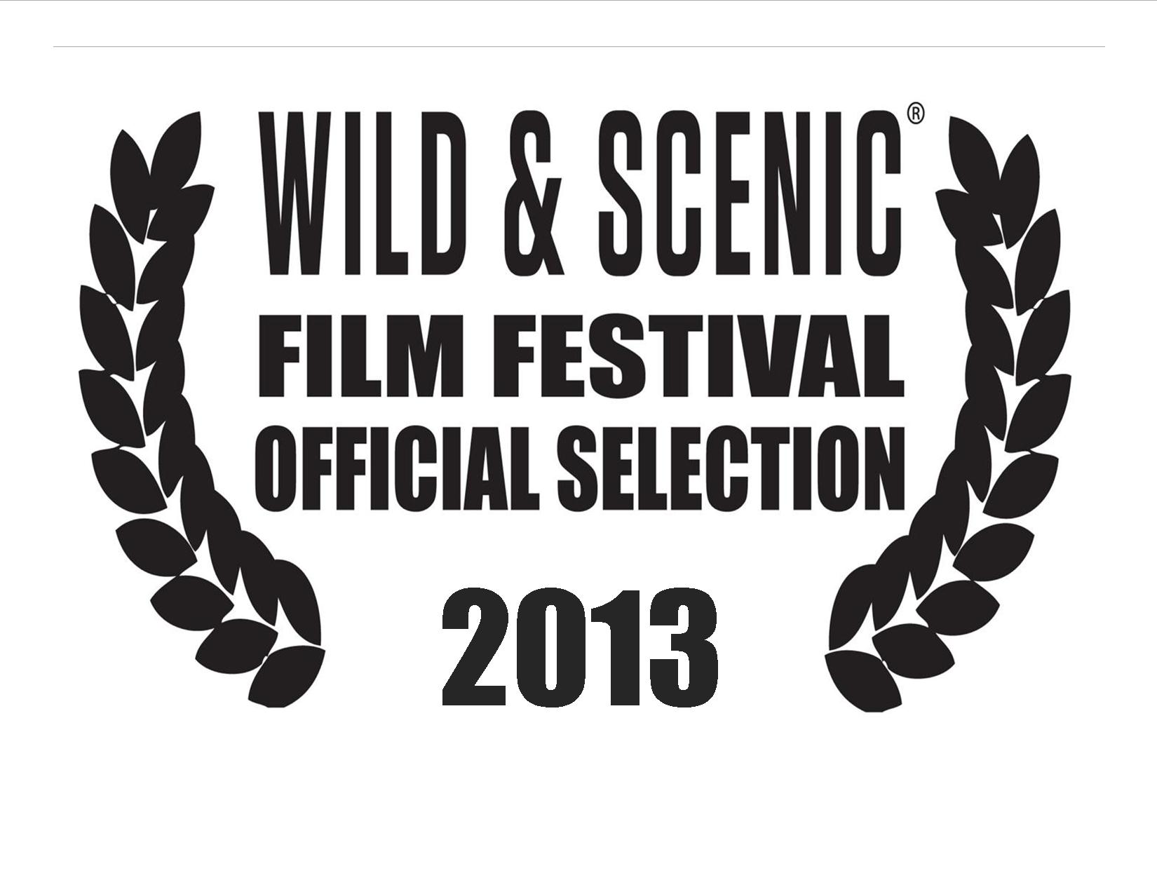 Film Download 2013