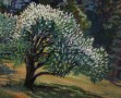 Crosby Jennifer Rain-Buckeye in Bloom Jennifer Rain Crosby