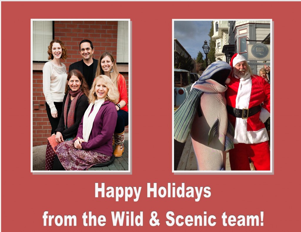 Happy Holidays from WSFF