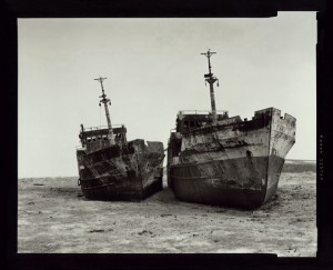 The Dying Sea