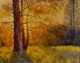 Thomas Loreen Here Comes the Sun by oil 12 x 16 Loreen Thomas