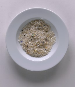 White Plate_Lang